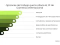 Opciones de trabajo en comercio internacional en España: aduanas, investigación de mercados, consultoría, exportaciones, comercio exterior, e-commerce y pymes.