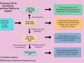Diagrama de la estructura de enseñanzas deportivas hípicas en España. Muestra el camino para obtener el grado medio deporte y superior.