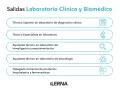 Salidas profesionales para un técnico de laboratorio: diagnóstico, investigación, toxicología y más.