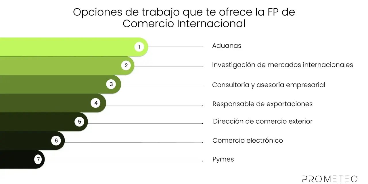 Opciones de trabajo en comercio internacional: aduanas, investigación de mercados, consultoría, exportaciones, comercio exterior, e-commerce y pymes.