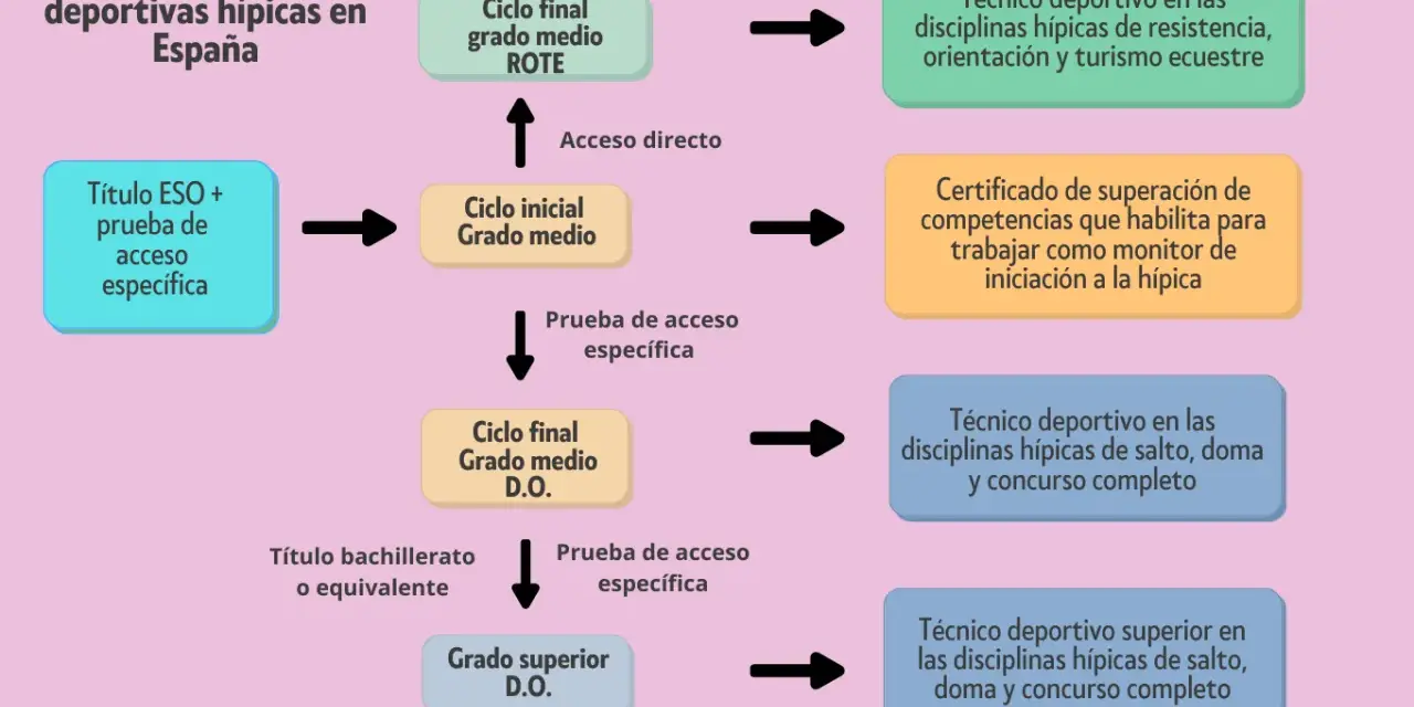 Diagrama de la estructura de enseñanzas deportivas hípicas en España. Muestra el camino para obtener el grado medio deporte y superior.