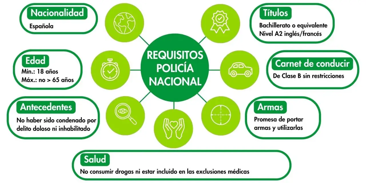 Requisitos para ser policía nacional: nacionalidad española, edad entre 18 y 65 años, sin antecedentes, salud, títulos, carnet de conducir y promesa de portar armas.