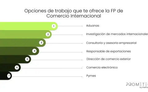 Opciones de trabajo en comercio internacional: aduanas, investigación de mercados, consultoría, exportaciones, comercio exterior, e-commerce y pymes.