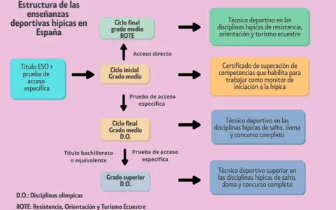 Diagrama de la estructura de enseñanzas deportivas hípicas en España. Muestra el camino para obtener el grado medio deporte y superior.