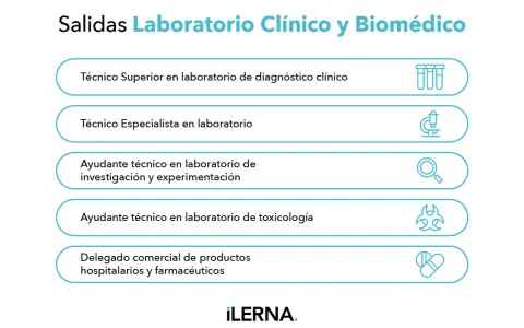 Salidas profesionales para un técnico de laboratorio: diagnóstico, investigación, toxicología y más.