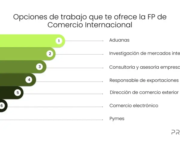 Opciones de trabajo en comercio internacional: aduanas, investigación de mercados, consultoría, exportaciones, comercio exterior, e-commerce y pymes.