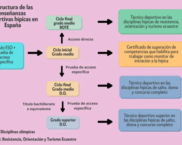 Diagrama de la estructura de enseñanzas deportivas hípicas en España. Muestra el camino para obtener el grado medio deporte y superior.