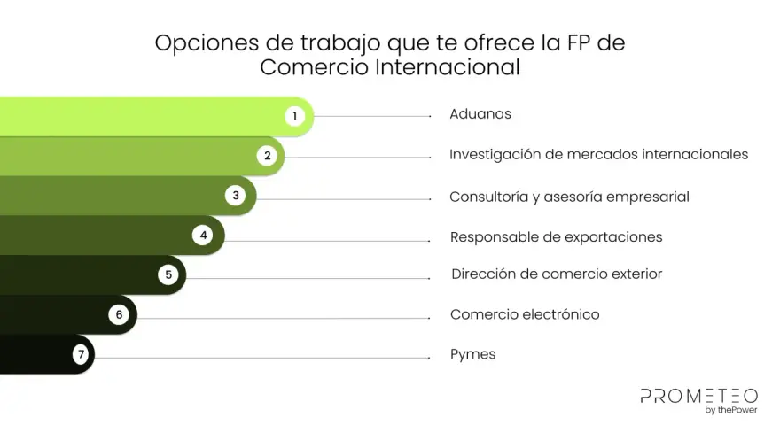 Opciones de trabajo en comercio internacional: aduanas, investigación de mercados, consultoría, exportaciones, comercio exterior, e-commerce y pymes.