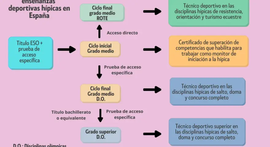 Diagrama de la estructura de enseñanzas deportivas hípicas en España. Muestra el camino para obtener el grado medio deporte y superior.