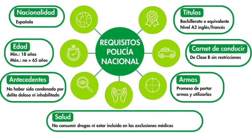 Requisitos para ser policía nacional: nacionalidad española, edad entre 18 y 65 años, sin antecedentes, salud, títulos, carnet de conducir y promesa de portar armas.