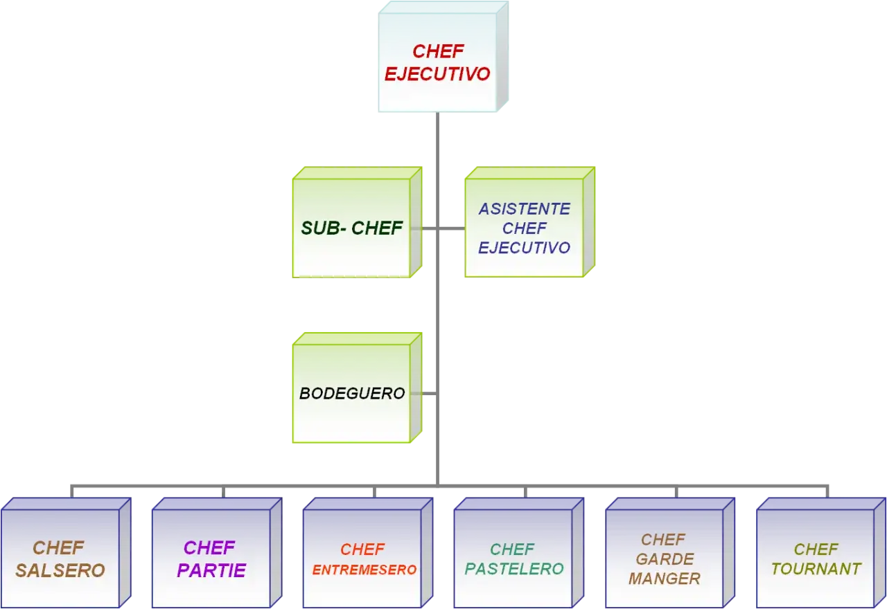 Organigrama que muestra la jerarqu&iacute;a culinaria, ilustrando la diferencia entre chef y cocinero.