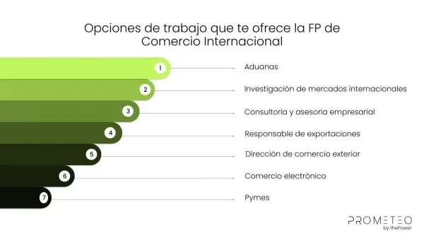Opciones de trabajo en comercio internacional en España: aduanas, investigación de mercados, consultoría, exportaciones, comercio exterior, e-commerce y pymes.